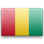 Country flag: Guinea