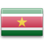 Country flag: Suriname